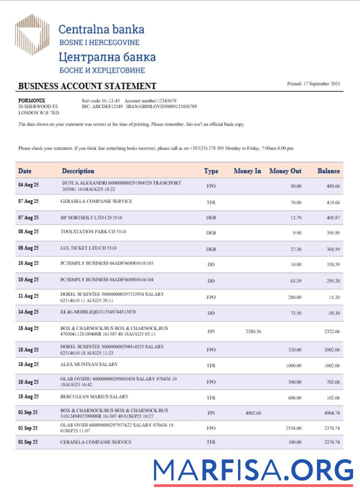 Printable Central business bank statement Word and PDF format example